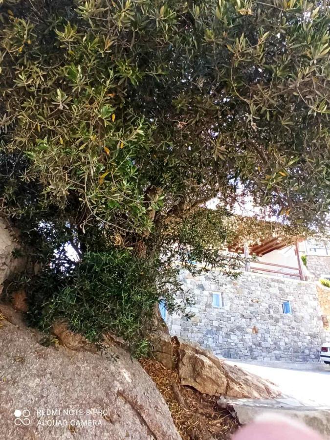 Apartamento Evans 2 Bedroom House Mykonos Mykonos Town