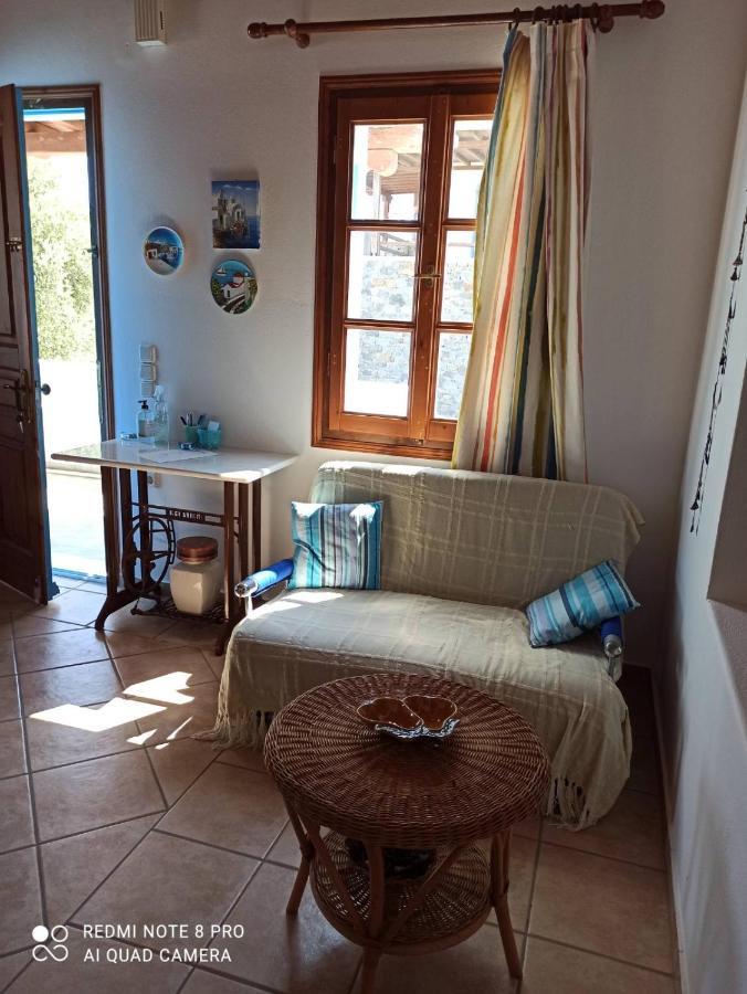 Evans 2 Bedroom House Mykonos Apartment